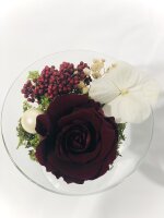 Longlife Rose im Cocktailglas