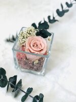 Longlife Rose im Würfelglas, mit Tragetasche