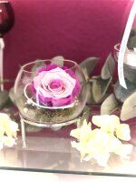 Set-Longlife Rose im Kugelglas mit Ständer