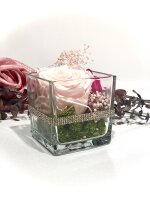 Longlife Rose im Glas, mit Strasssteine